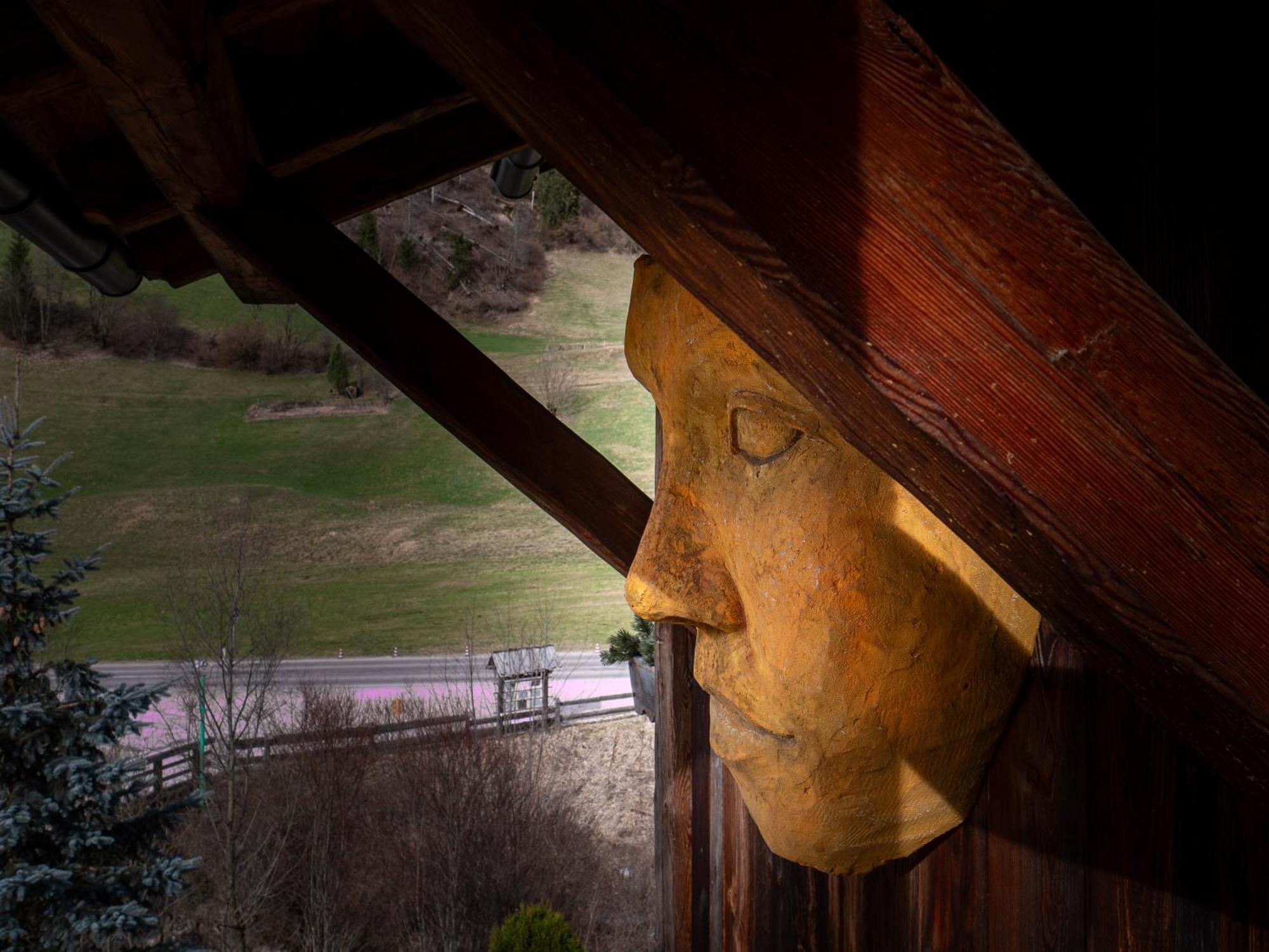 Alpine Mountain Chalet San Vigilio Di Marebbe Bagian luar foto
